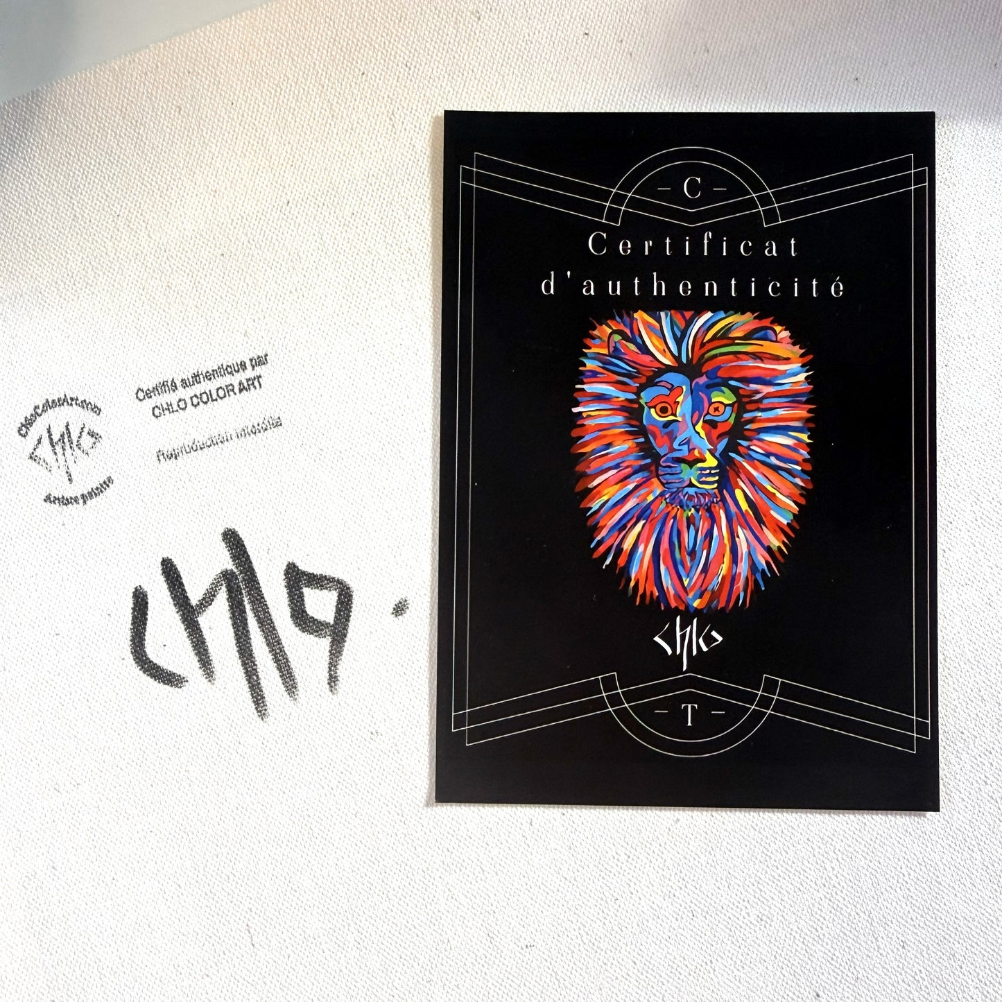 "Elephant"  Tirage d'art numéroté et signé sur toile coton